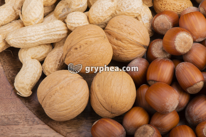 Fruits secs (Noix, Noisettes, Arachides) - gryphea.org